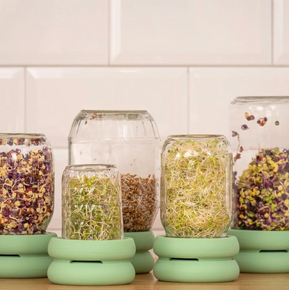 Food Huggers Micro Greens Kit