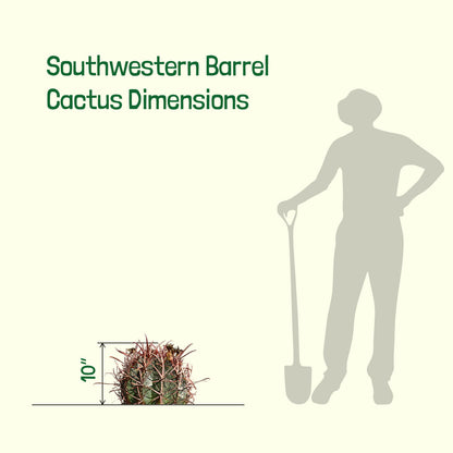 Southwest Barrel Cactus