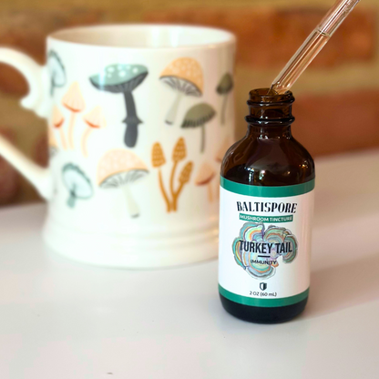 Turkey Tail Mushroom Tincture