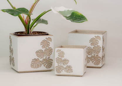 Square Monstera Leaf Cache Pot