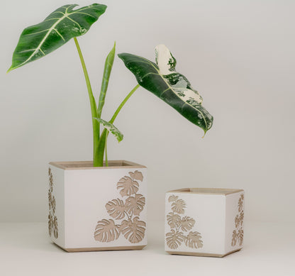 Square Monstera Leaf Cache Pot