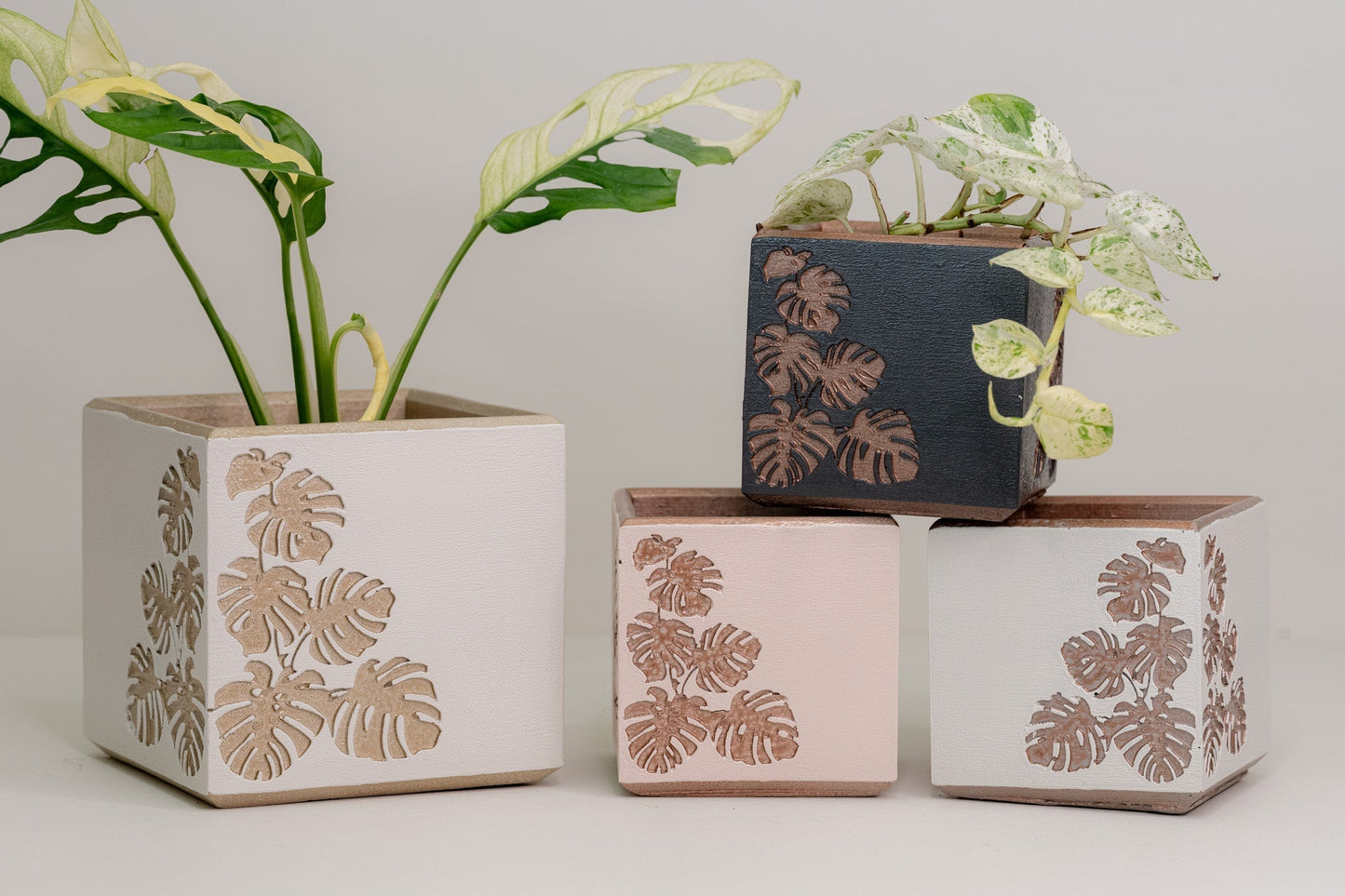 Square Monstera Leaf Cache Pot