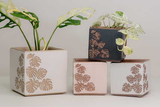 Square Monstera Leaf Cache Pot