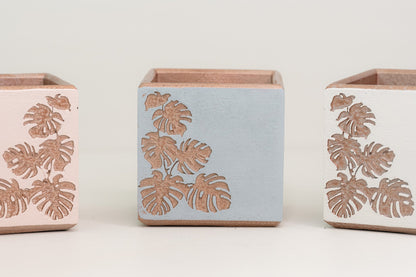 Square Monstera Leaf Cache Pot