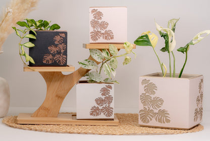 Square Monstera Leaf Cache Pot