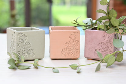 Square Monstera Leaf Cache Pot