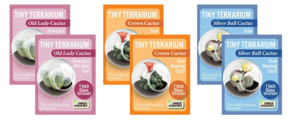 Flowering Cacti Tiny Terrariums Bundle - 2 each of 3 Varieties