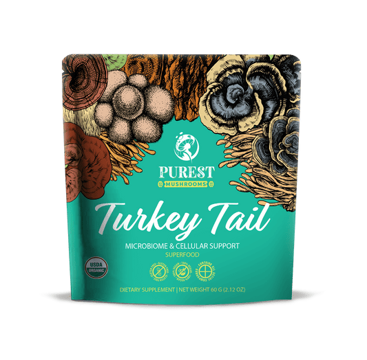 Turkey Tail Mushroom Extract Powder