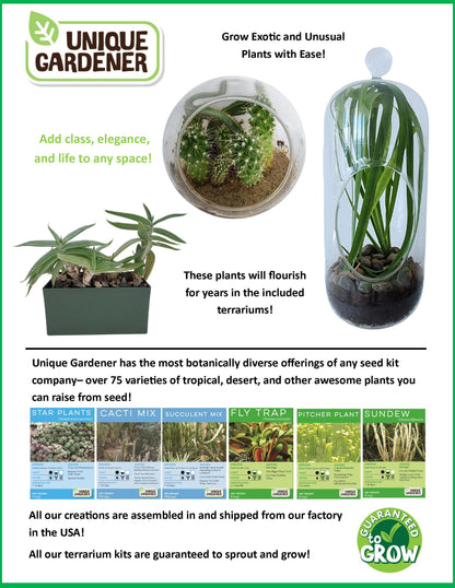 Carnivorous Growarium Meat-Eating Seed Terrarium Kit