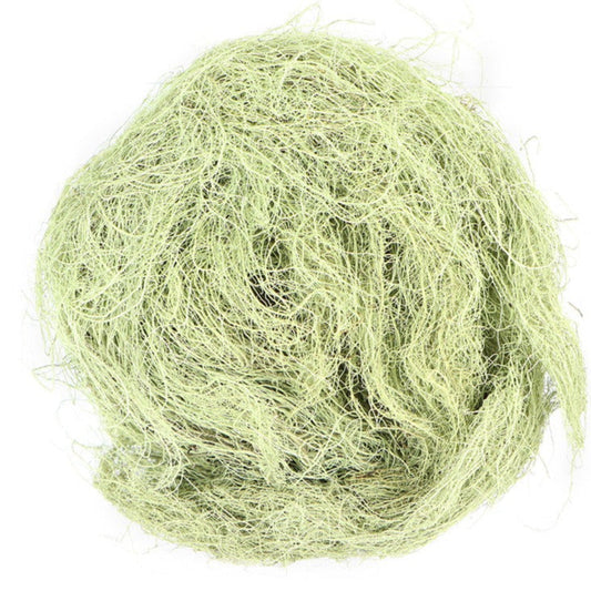 Usnea Lichen - Old man Beard - Wildcrafted