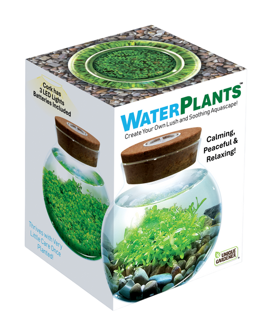 WaterPlants- Grow Lush Aquatic Plants from Seed! Thrives With Minimal Care