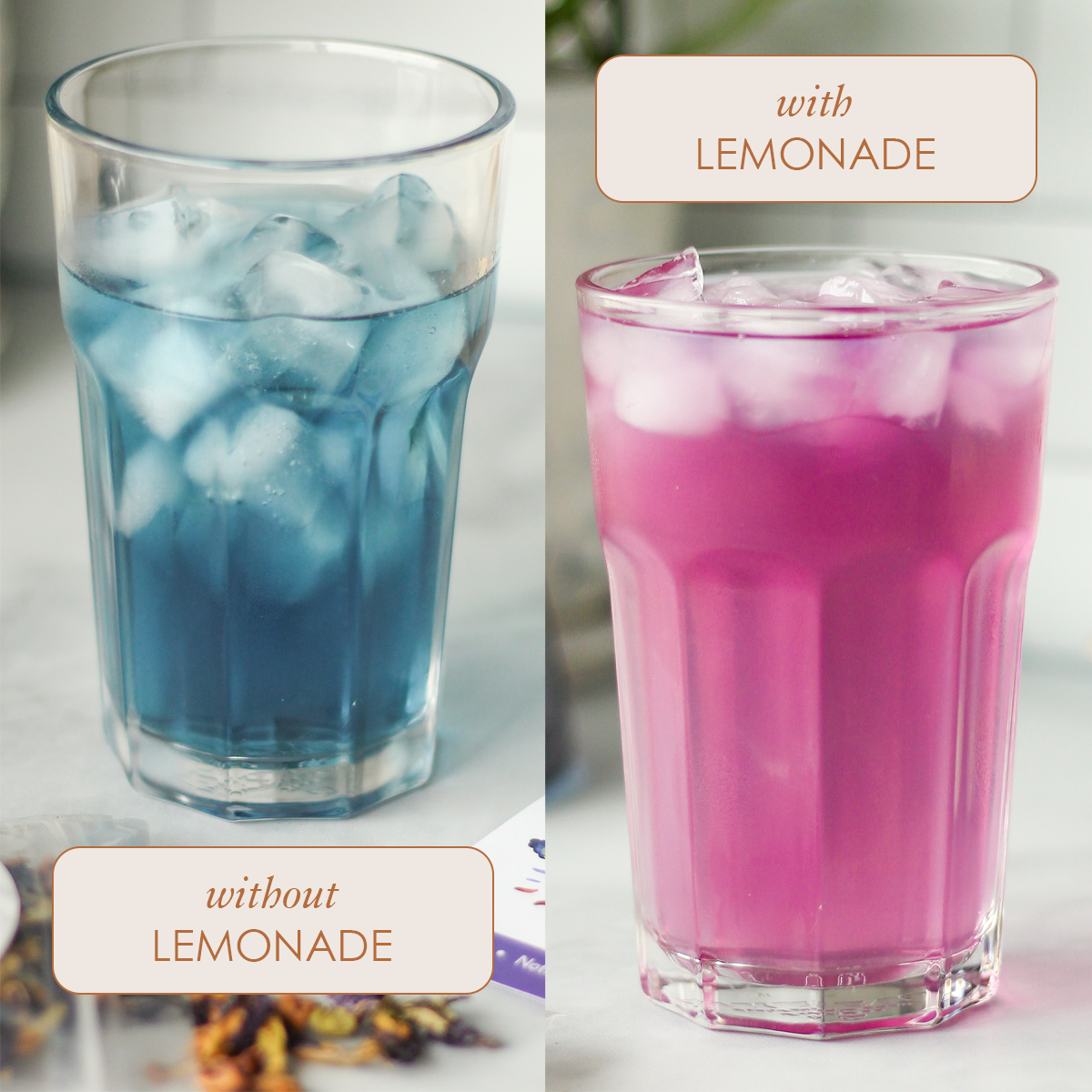 Butterfly Pea Flowers