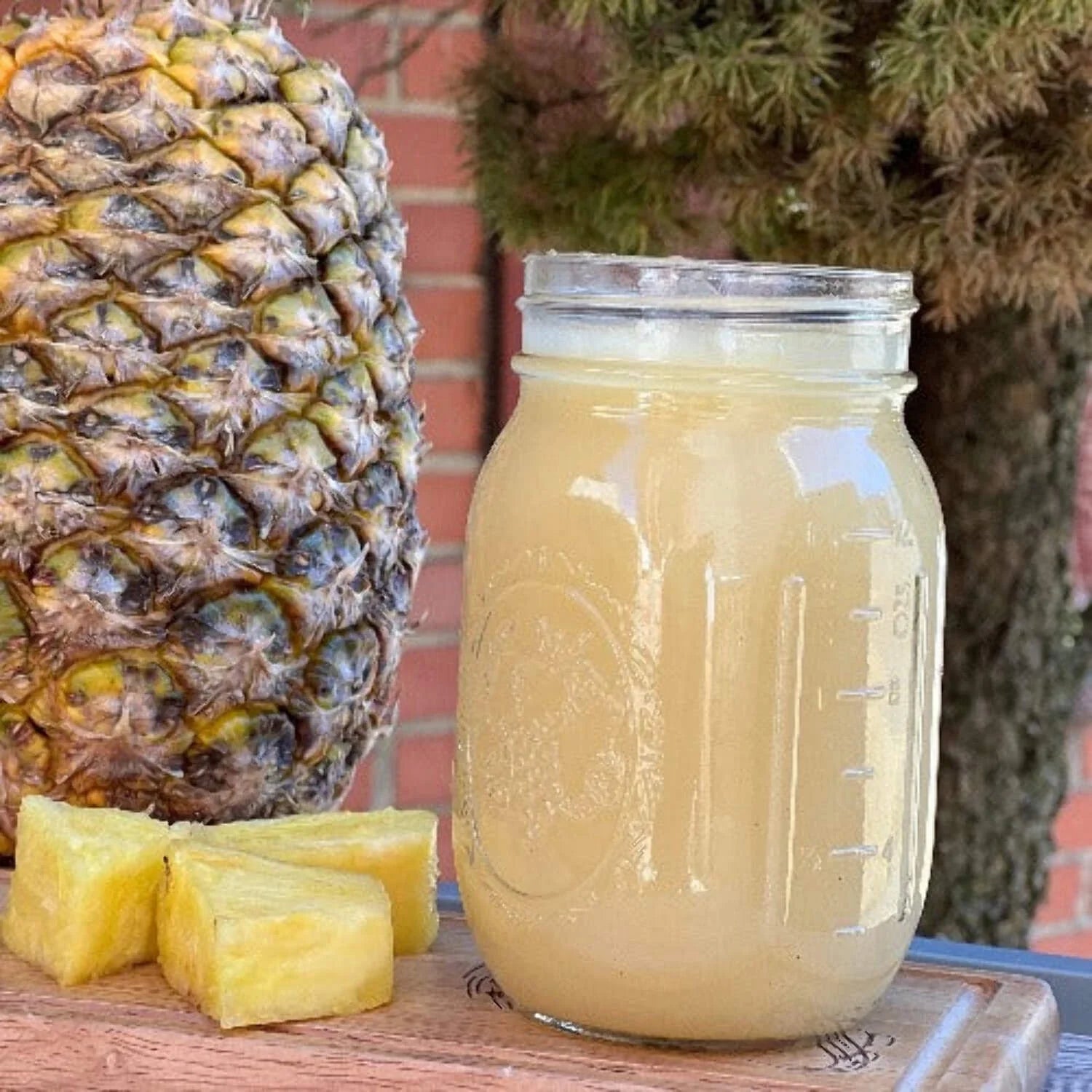 Flavored Sea Moss Gel- Alkaline Pineapple Sea Moss Smoothie