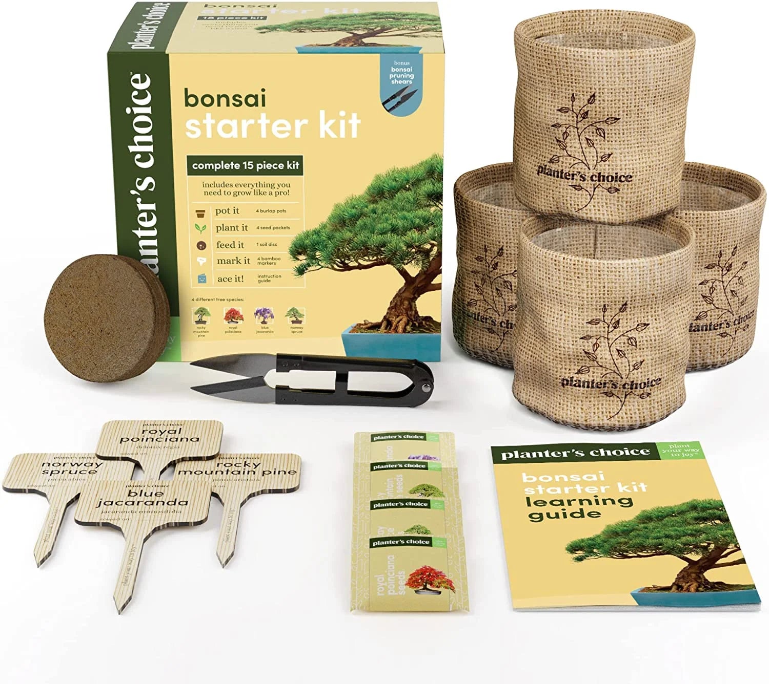 Bonsai Tree Plant Growing Kits with Seed-Safe Packets (4 Count)