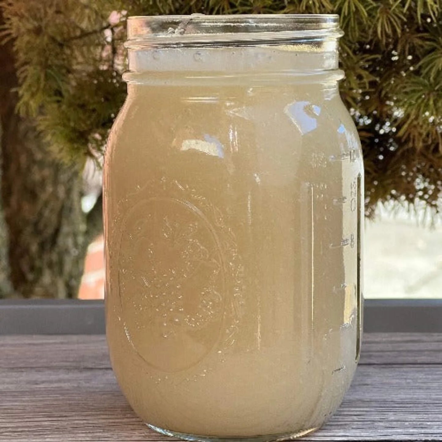 Organic Sea Moss Gel - Wildcrafted Irish Sea Moss - 16 Oz