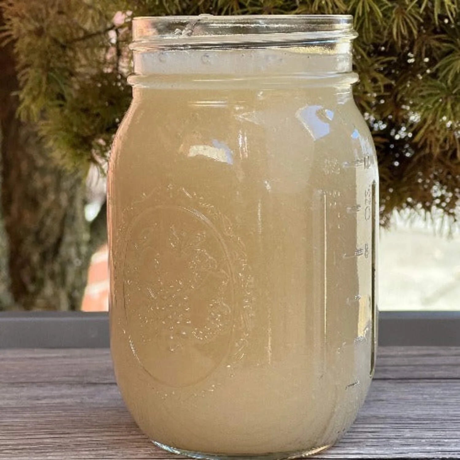 Organic Sea Moss Gel - Wildcrafted Irish Sea Moss - 16 Oz