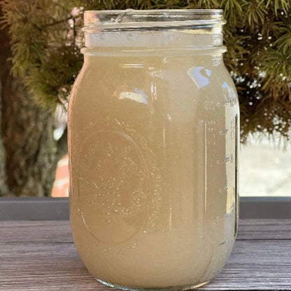 Organic Sea Moss Gel - Wildcrafted Irish Sea Moss - 16 Oz