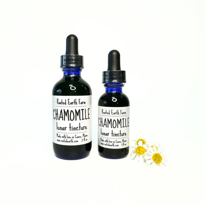 Chamomile Tincture