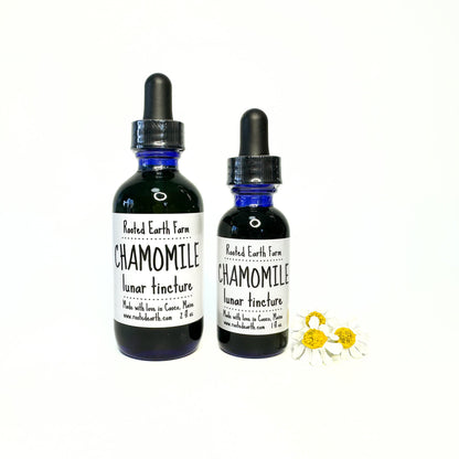 Chamomile Tincture