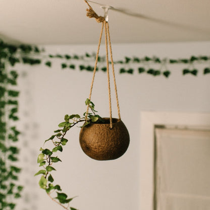 Coconut Planter with Jute Twine
