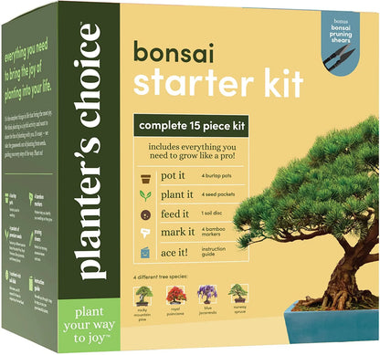 Bonsai Tree Plant Growing Kits with Seed-Safe Packets (4 Count)