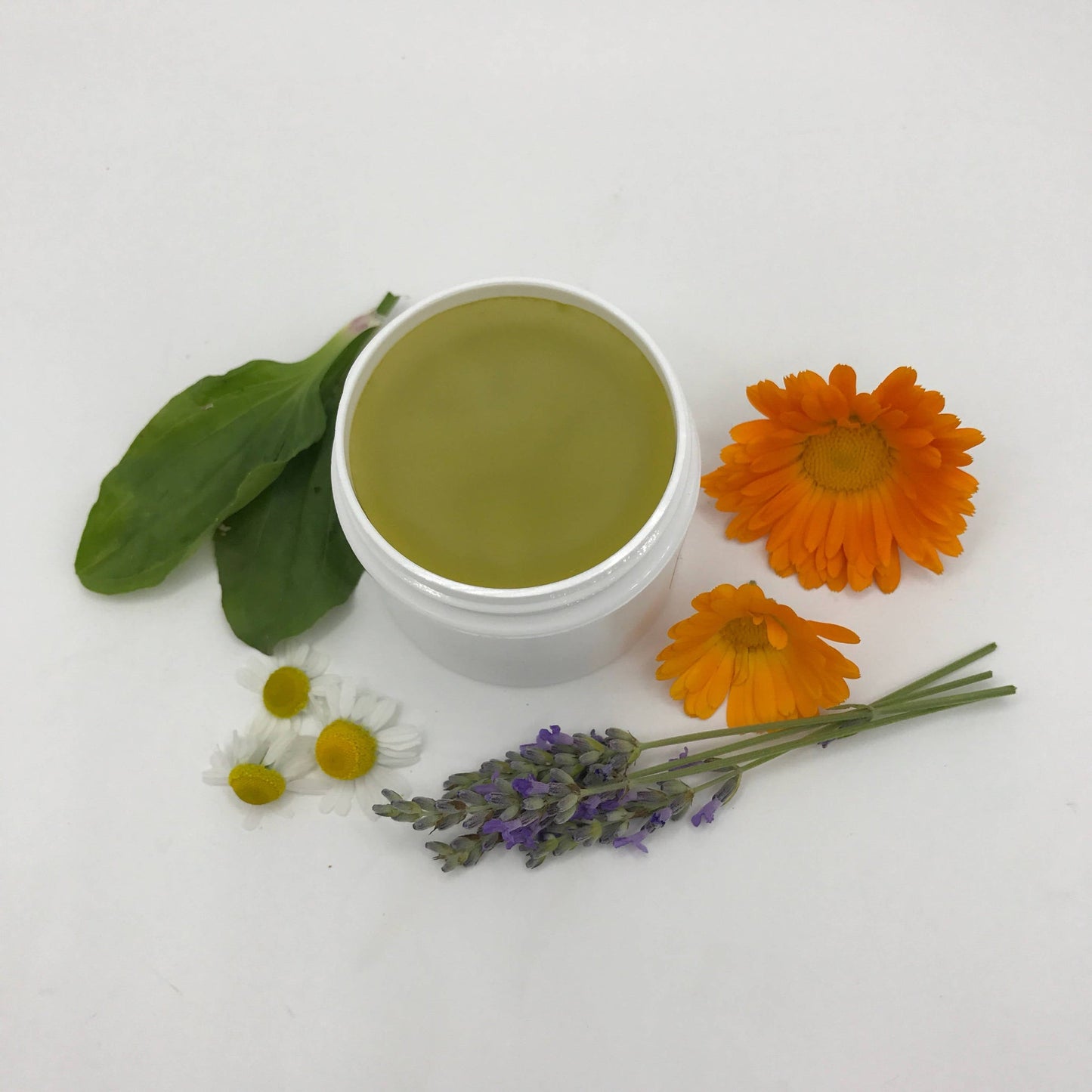 Ditch the Itch Salve