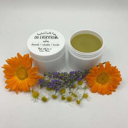 Do Everything Salve