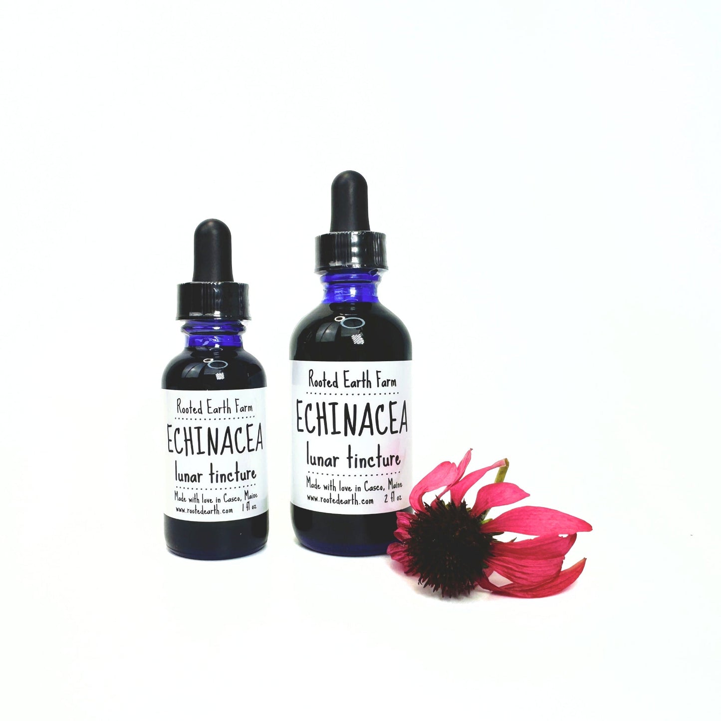 Echinacea Tincture