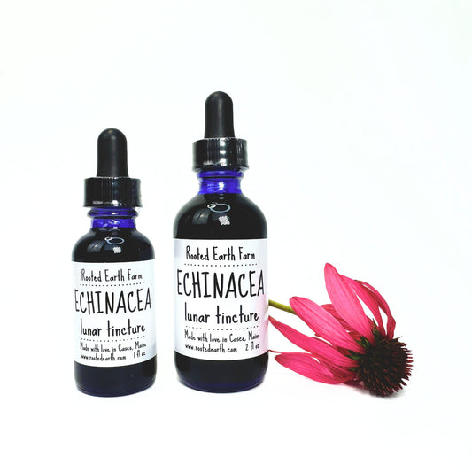 Echinacea Tincture