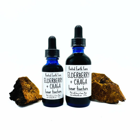 Elderberry and Chaga Tincture