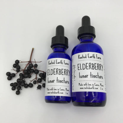Elderberry Tincture