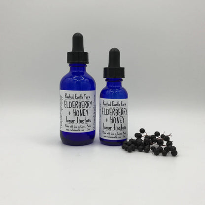 Elderberry + Honey Tincture