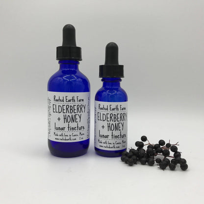 Elderberry + Honey Tincture