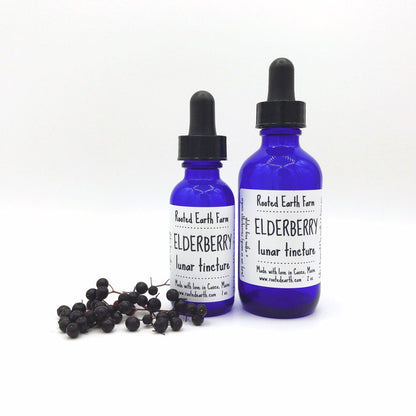 Elderberry Tincture