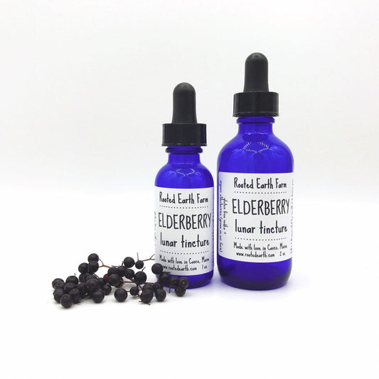 Elderberry Tincture
