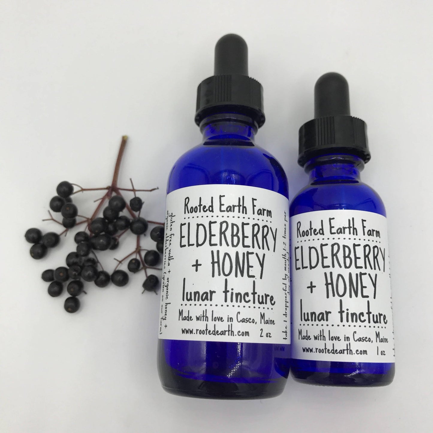 Elderberry + Honey Tincture