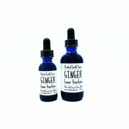 Ginger Tincture
