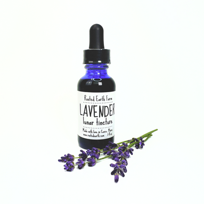 Lavender Tincture