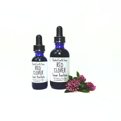 Red Clover Tincture