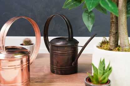 Handcrafted Small Copper Watering Can – Artisan-Made Planter Pot for Indoor & Outdoor Gardening