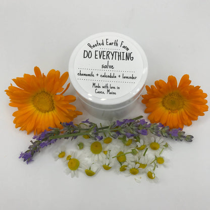 Do Everything Salve