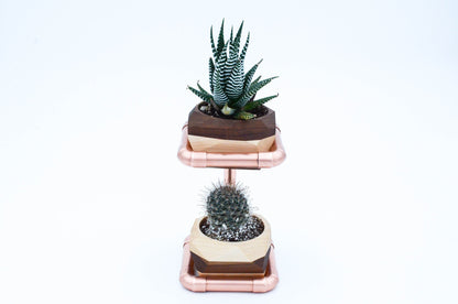 Geometric Double Cactus & Succulent Planter with