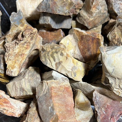 Petrified Wood Rough Stone