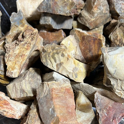 Petrified Wood Rough Stone