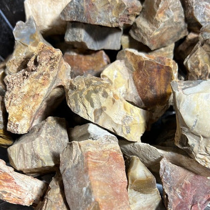Petrified Wood Rough Stone
