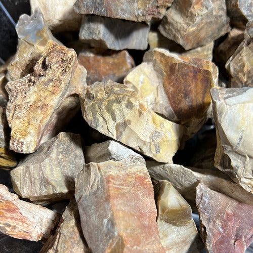 Petrified Wood Rough Stone