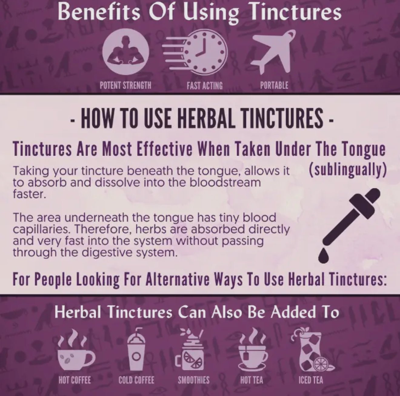 Organic Burdock Root Tincture – 1 oz | RA Herbals by Sun God Medicinals