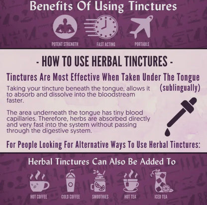 Organic Burdock Root Tincture – 1 oz | RA Herbals by Sun God Medicinals