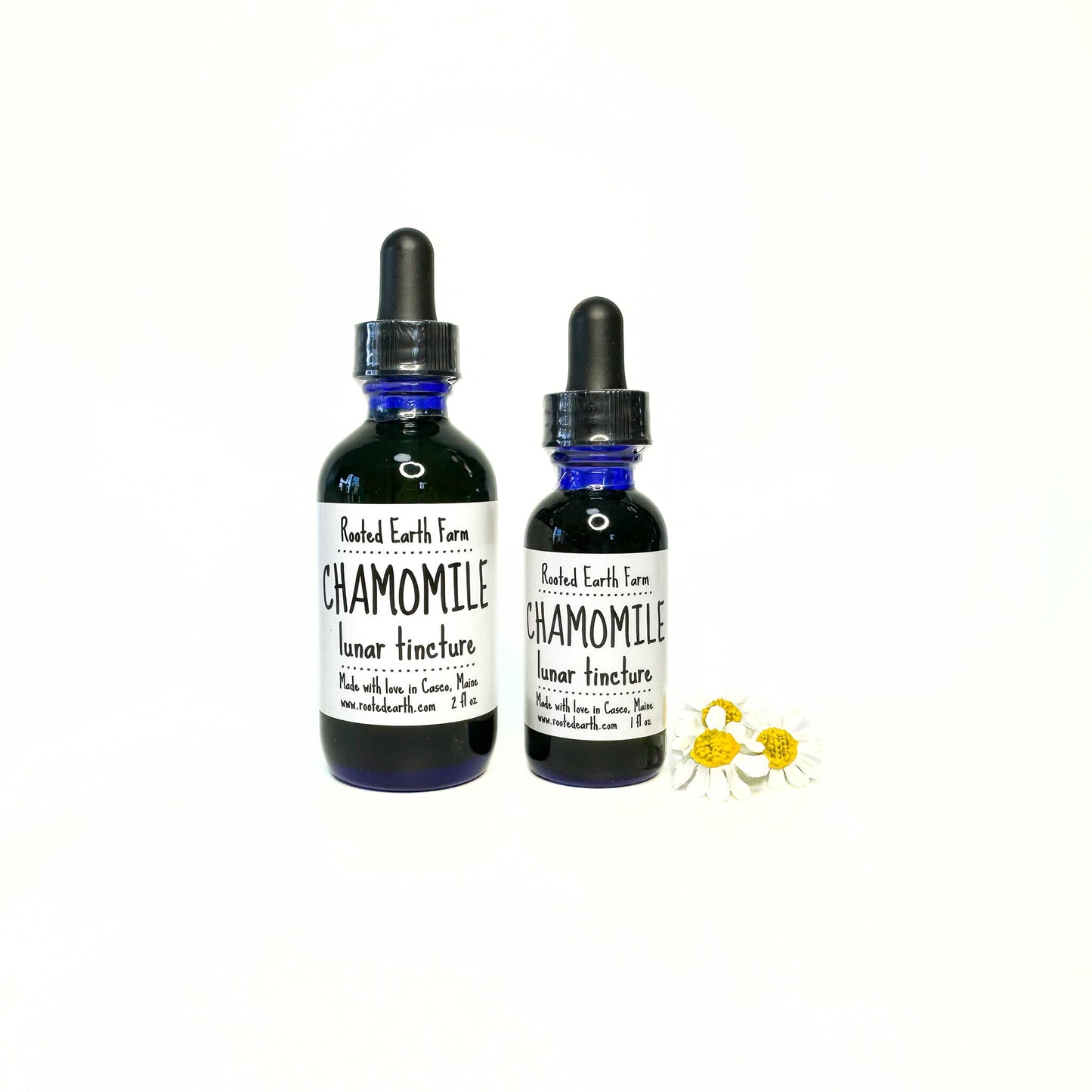 Chamomile Tincture