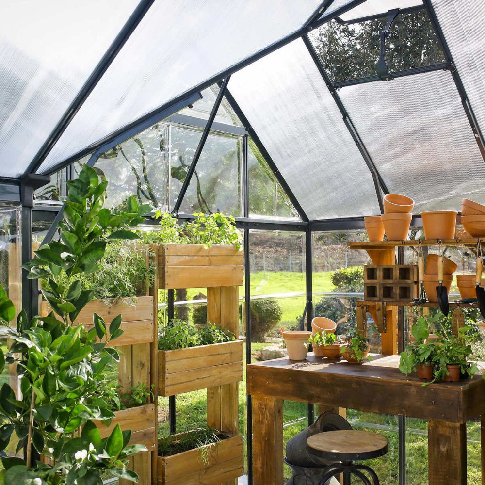 [10x12FT] Premium T-Shaped Cathedral Outdoor Walk-In Greenhouse And Solarium (91364285)
